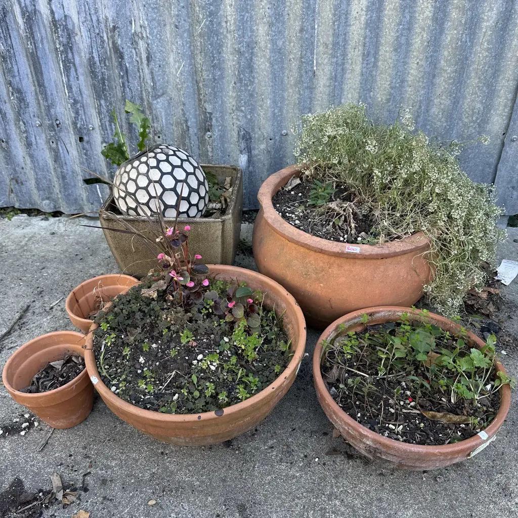 asst planters Image 1++