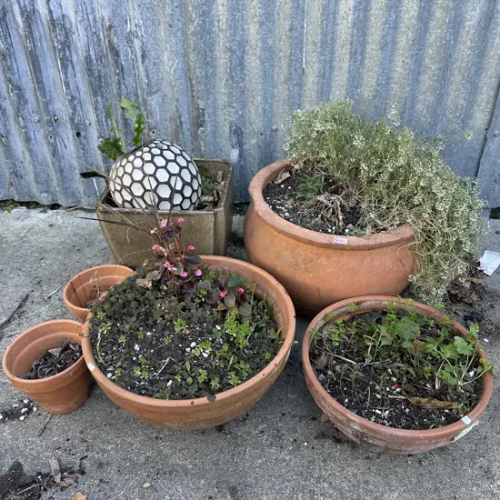 asst planters