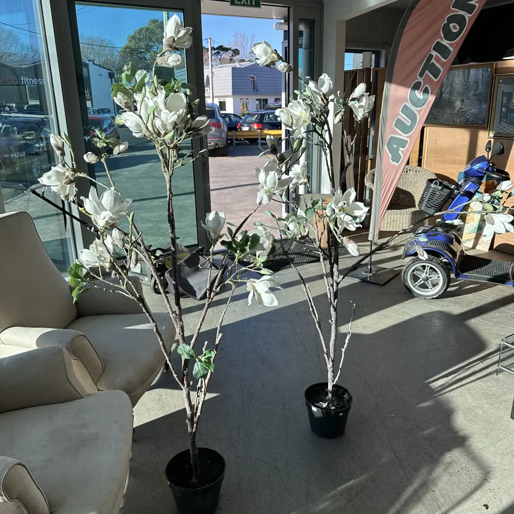 Pr of artificial Magnolia trees Image 1++