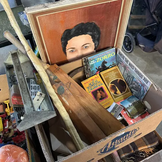 Box lot tool tray, sickle, golden books, cricket bats, painting etc.