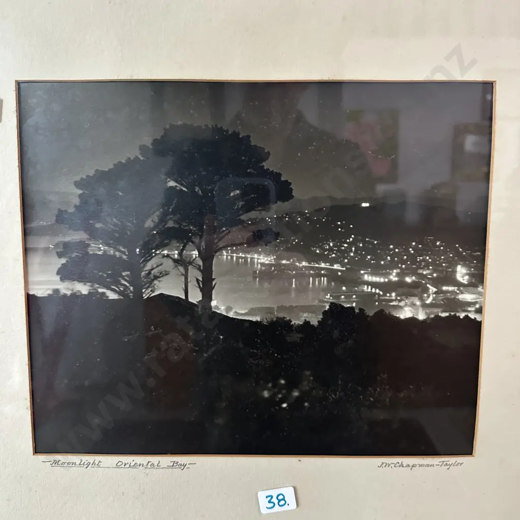 Chapman-Taylor photo "Moonlight Oriental bay" Image 1++