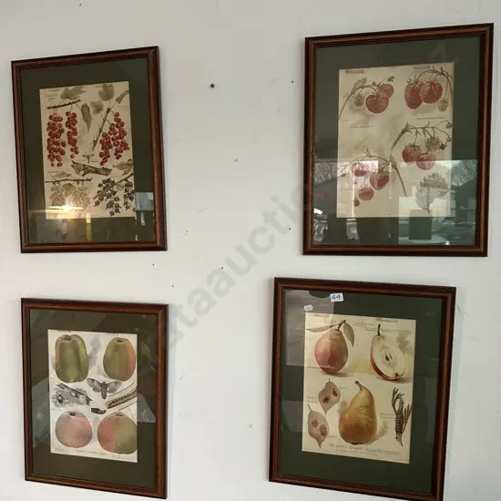 4 vintage fruit pictures