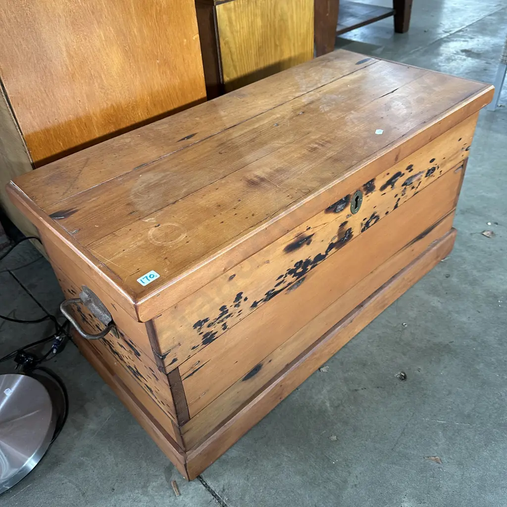 Matai wood trunk 870mm Image 1++