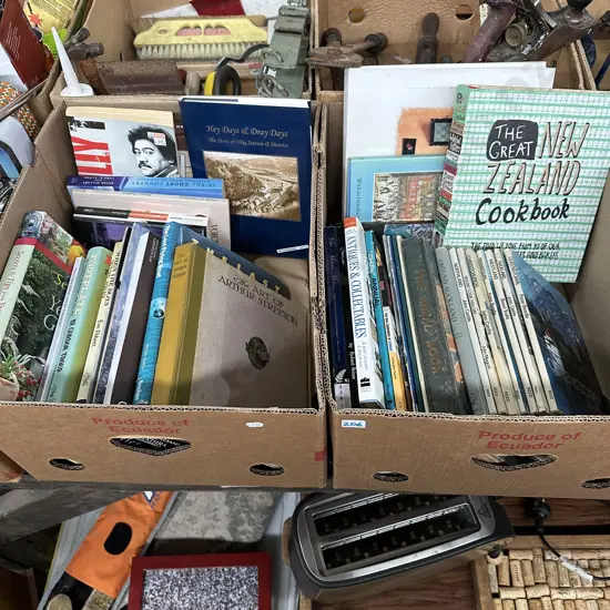 Two boxes of books.