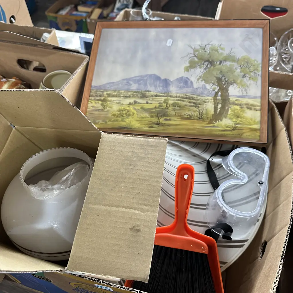 Albert Namatjira watercolour print plus light shades etc. Image 1++