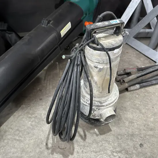 Lowara submersible pump ( no plug )