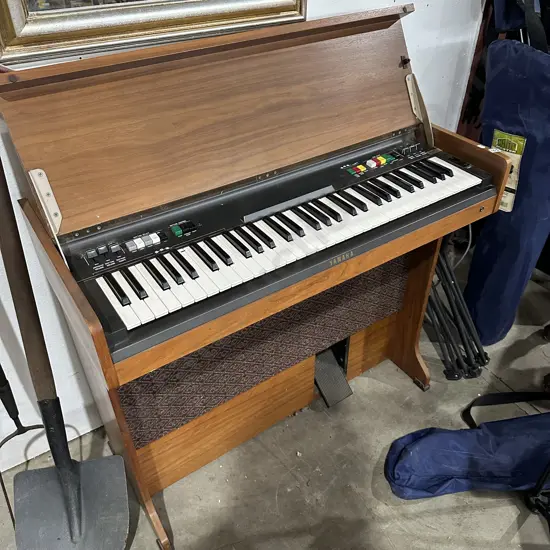 organ (as is)