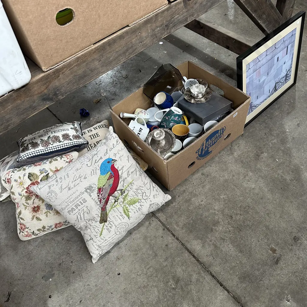 Box lot plus cushions and picture. Image 1++