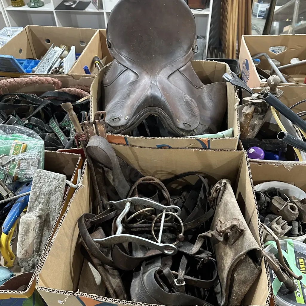 Two boxes saddle and horse riding gear. Image 1++