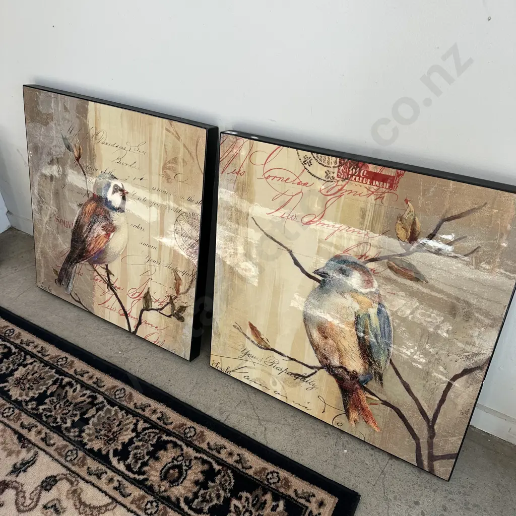 Pr bird pictures Image 1++
