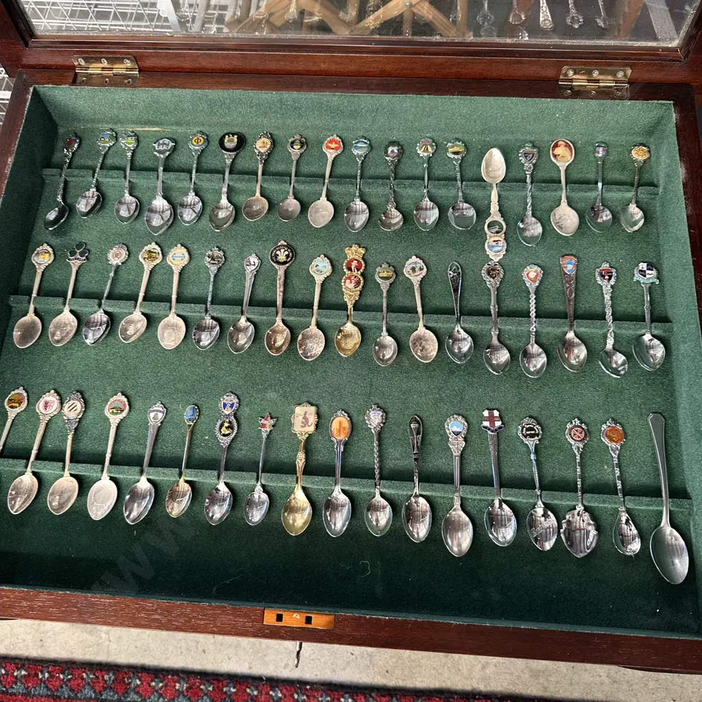 coffee table teaspoon collection plus 2 Titanic books Image 1++