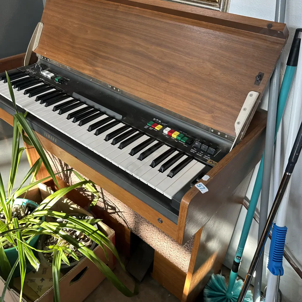 organ as is Image 1++