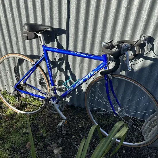 Avanti road bike