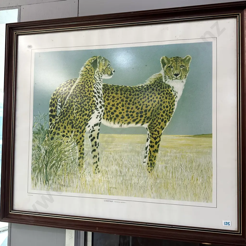 Cheetah print Image 1++