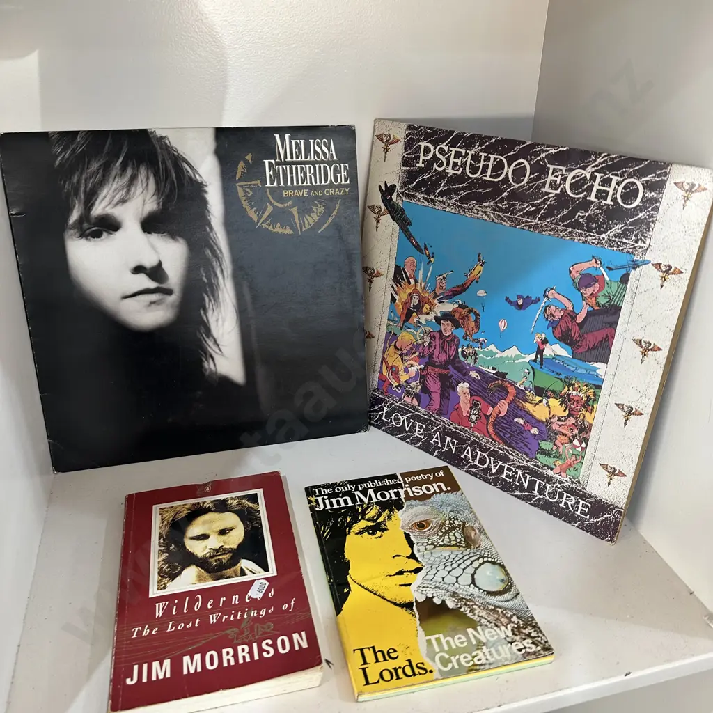 2 LPs and 2 Morrison books Image 1++