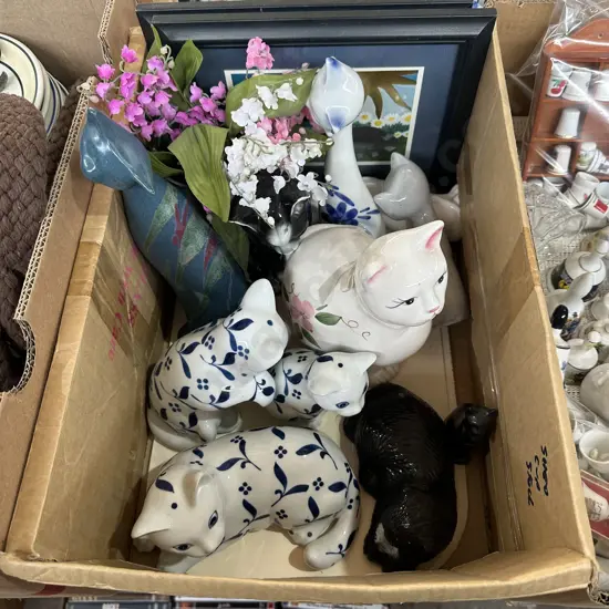 cat collection