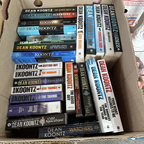 Dean Koontz books