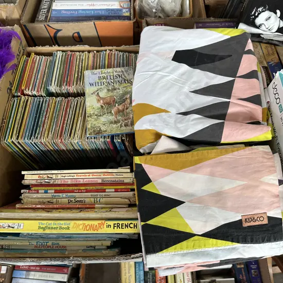 kids books inc Dr Suess and Kip & Co bedding covers