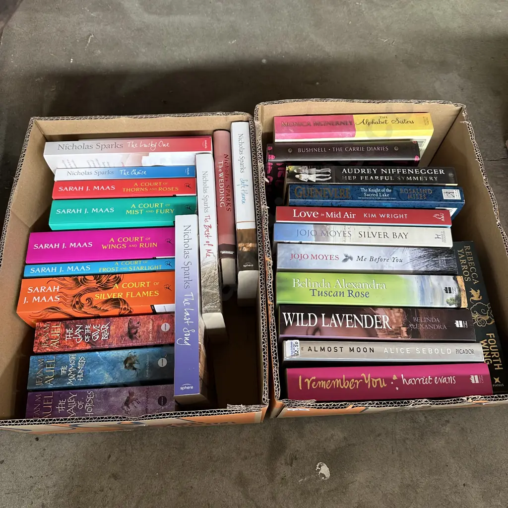 2 boxes books inc Jean Auel & Sarah Maas Image 1++
