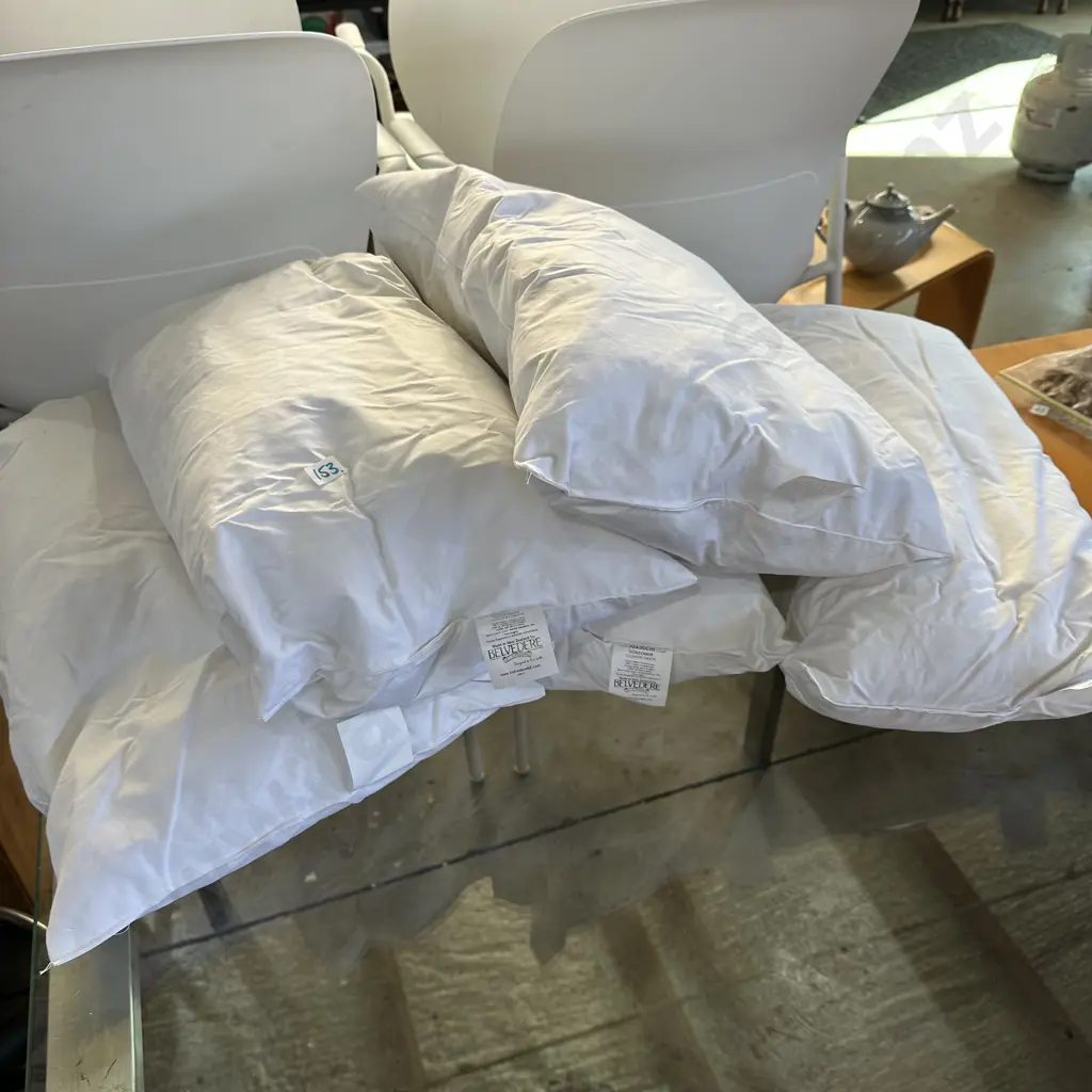 5 x new feather cushion inners 30 x 50cm Image 1++