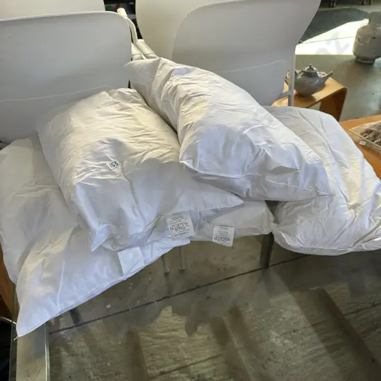 5 x new feather cushion inners 30 x 50cm