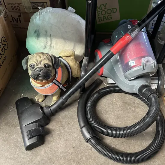 Vacuum cleaner, car cover and pug dog statue with walking harness.