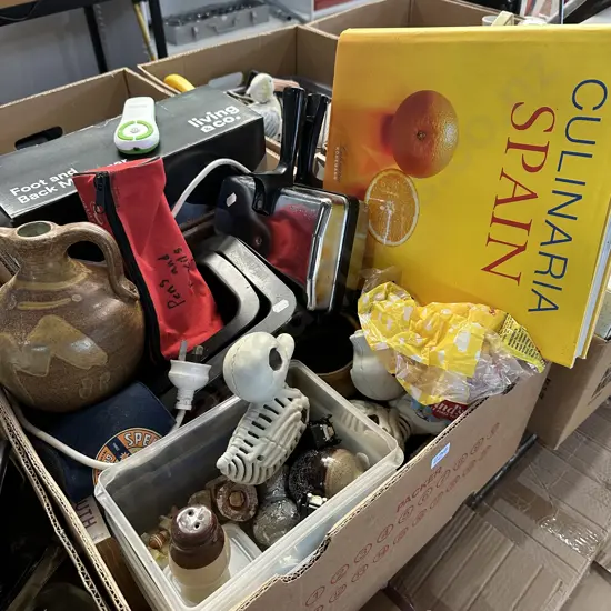 Box lot books, pottery, toasty machine,  halloween duck skeletons etc.