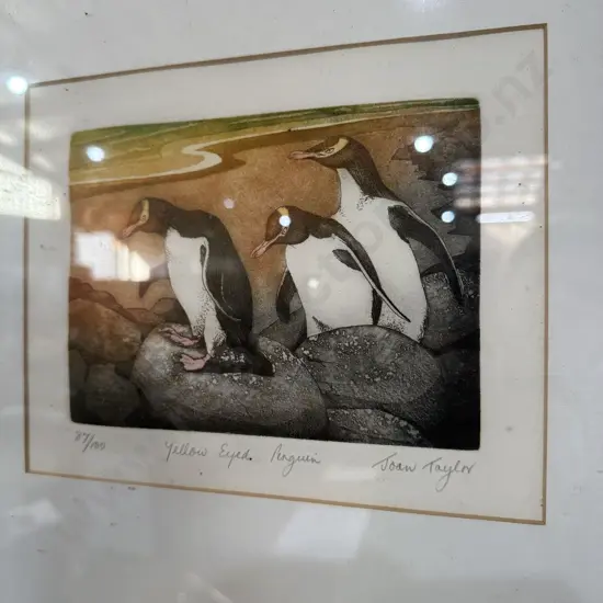 ltd edition Joan taylor "Yellow eyed penguins" colour lithograph