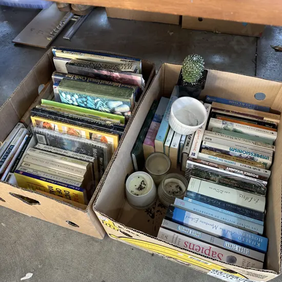 Two boxes of books etc.