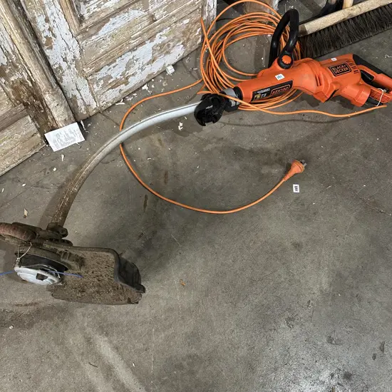 electric whipper snapper