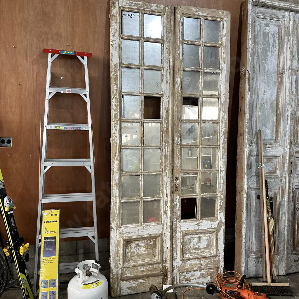 Mirrored internal Egyptian doors Image 1++