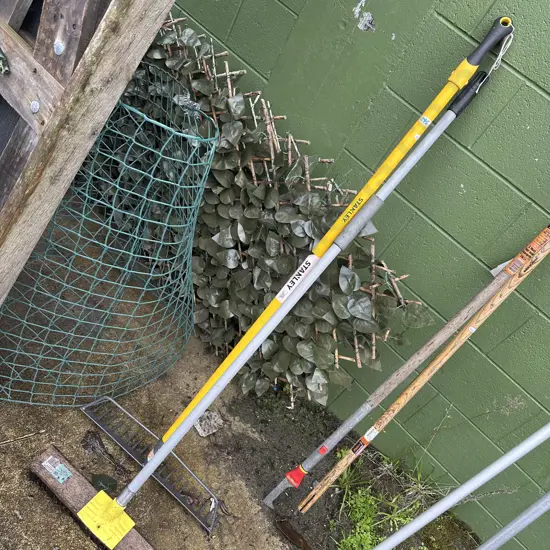 HD rake and broom