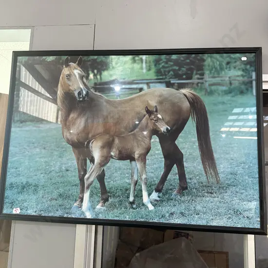 horse print