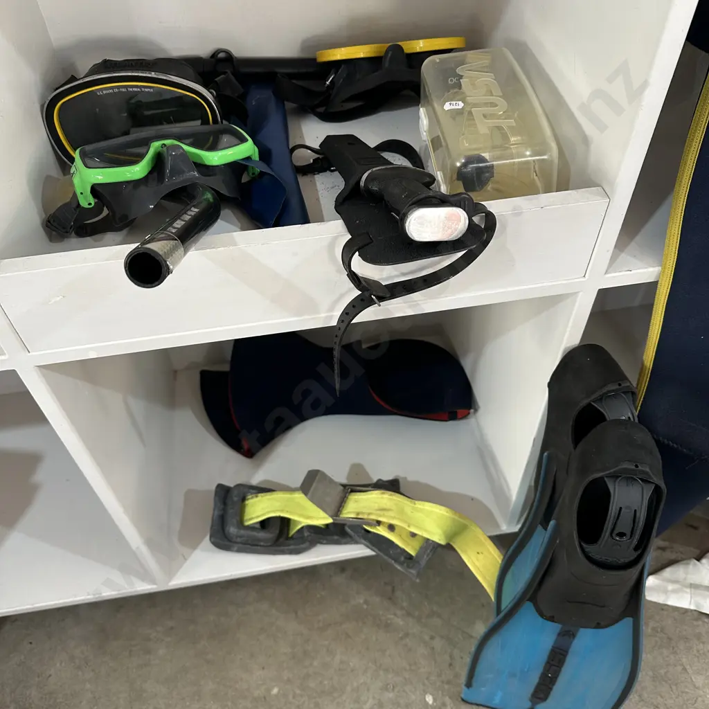 dive suit plus fins, belt, snorkles, knife etc Image 1++
