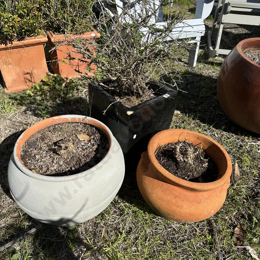 3 planters Image 1++