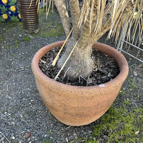 large planter
