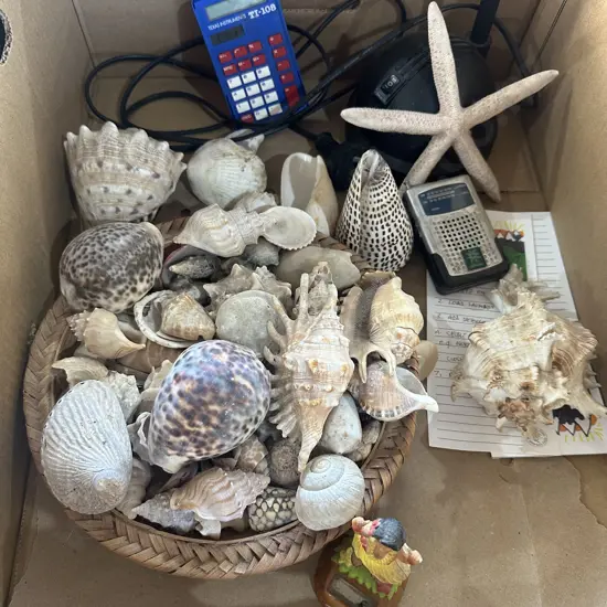 shell collection etc