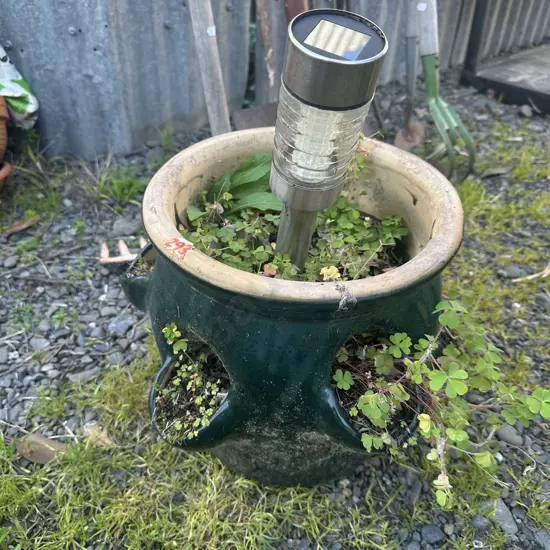 Strawberry planter