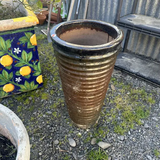 tall rimmed planter