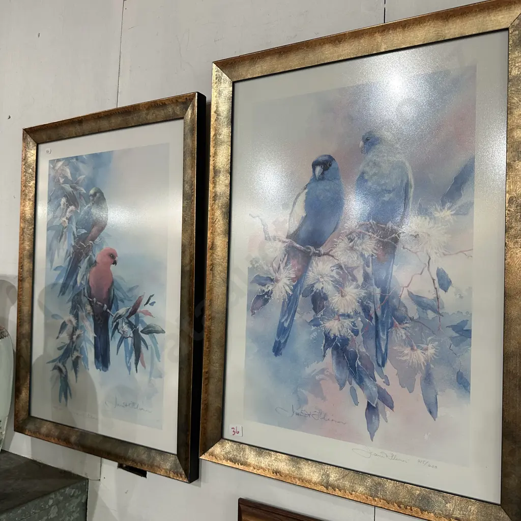 Pr of Ltd ed Parrot pictures- signed Image 1++