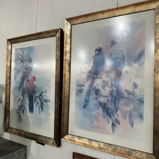Pr of Ltd ed Parrot pictures- signed