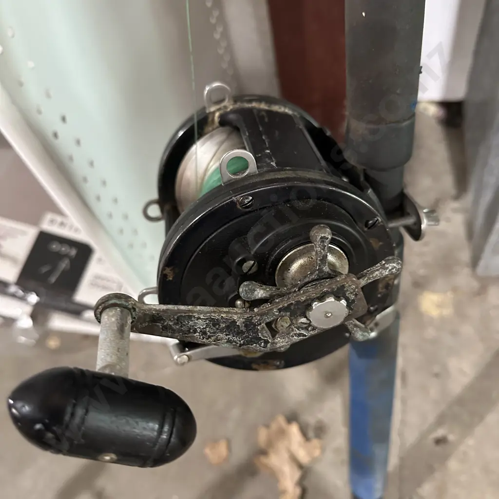 serious boat rod and reel Image 1++