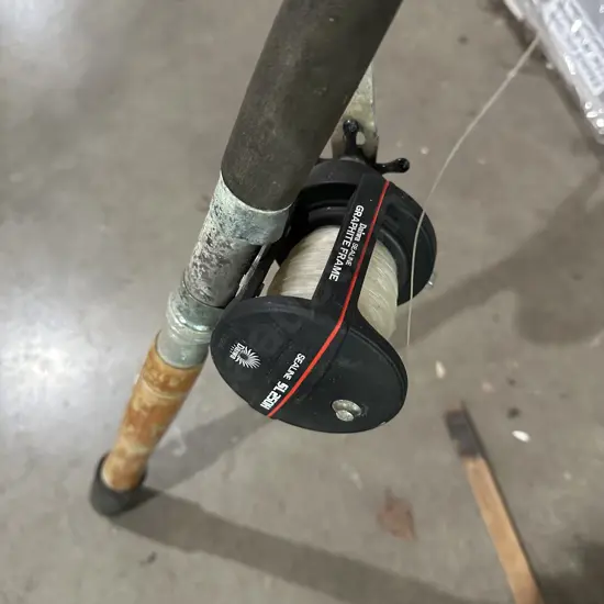 Daiwa sealion reel and rod