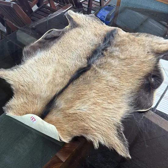 Goat pelt