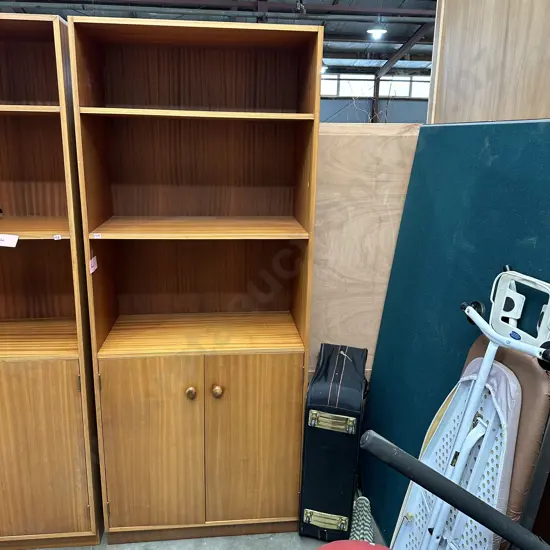 Mid-Century wall unit
