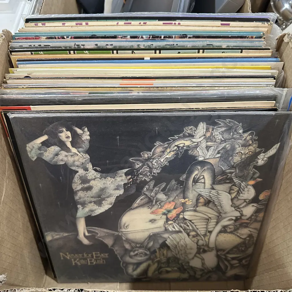 LPs inc Kate Bush, Motels, Tijuana Brass etc Image 1++