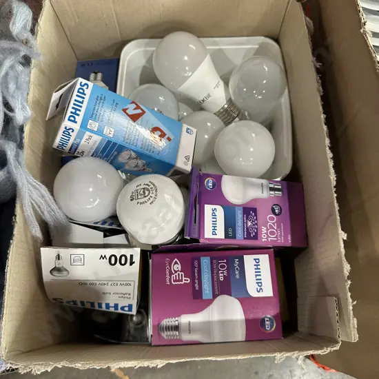 bulbs