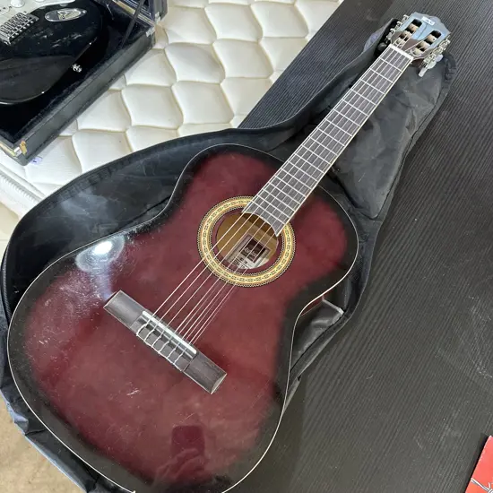 Ashton guitar and bag