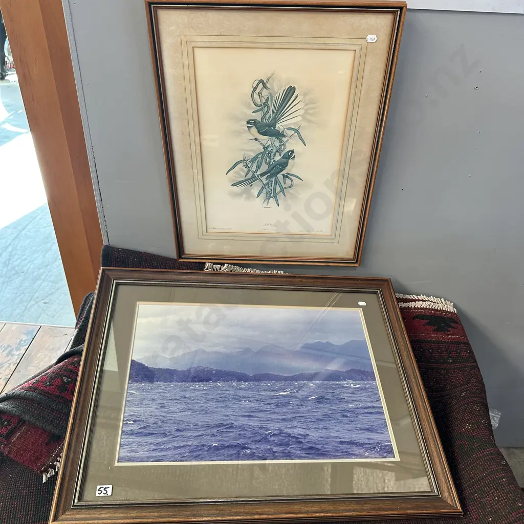 Ltd edt Faintails by Janet Marshell plus photo Image 1++