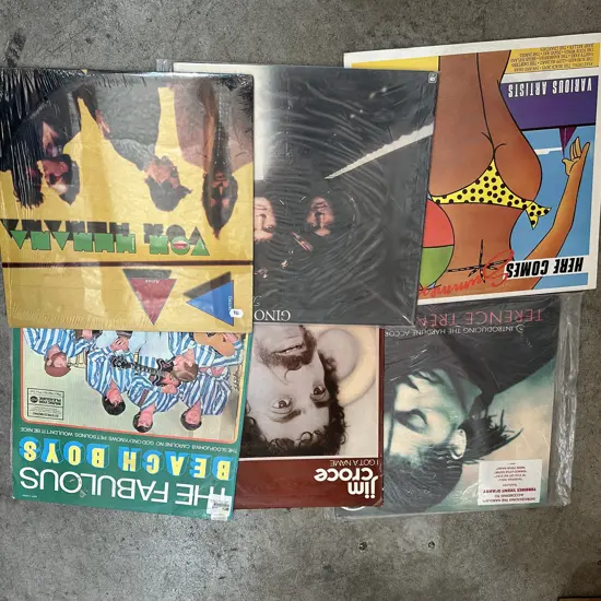 11 LPs inc Terence Trent Darby, Earth Wind & Fire etc